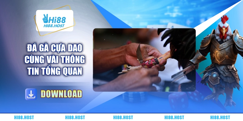 Đá gà cựa dao cùng vài thông tin tổng quan