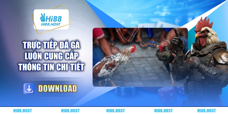 Trực tiếp đá gà luôn cung cấp thông tin chi tiết